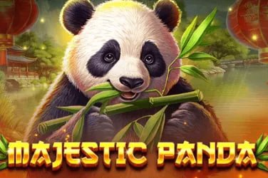 Người dùng chơi live casino trực tuyến 66win33 trên điện thoại iPhone và Android